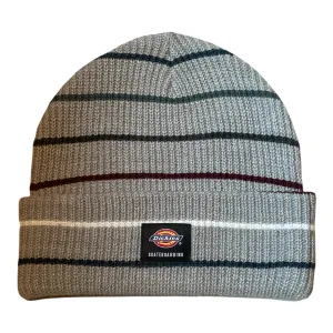 Dickies Skateboarding Beanie Stiped Heather Grey/Blue