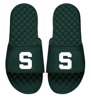 Michigan State Slides