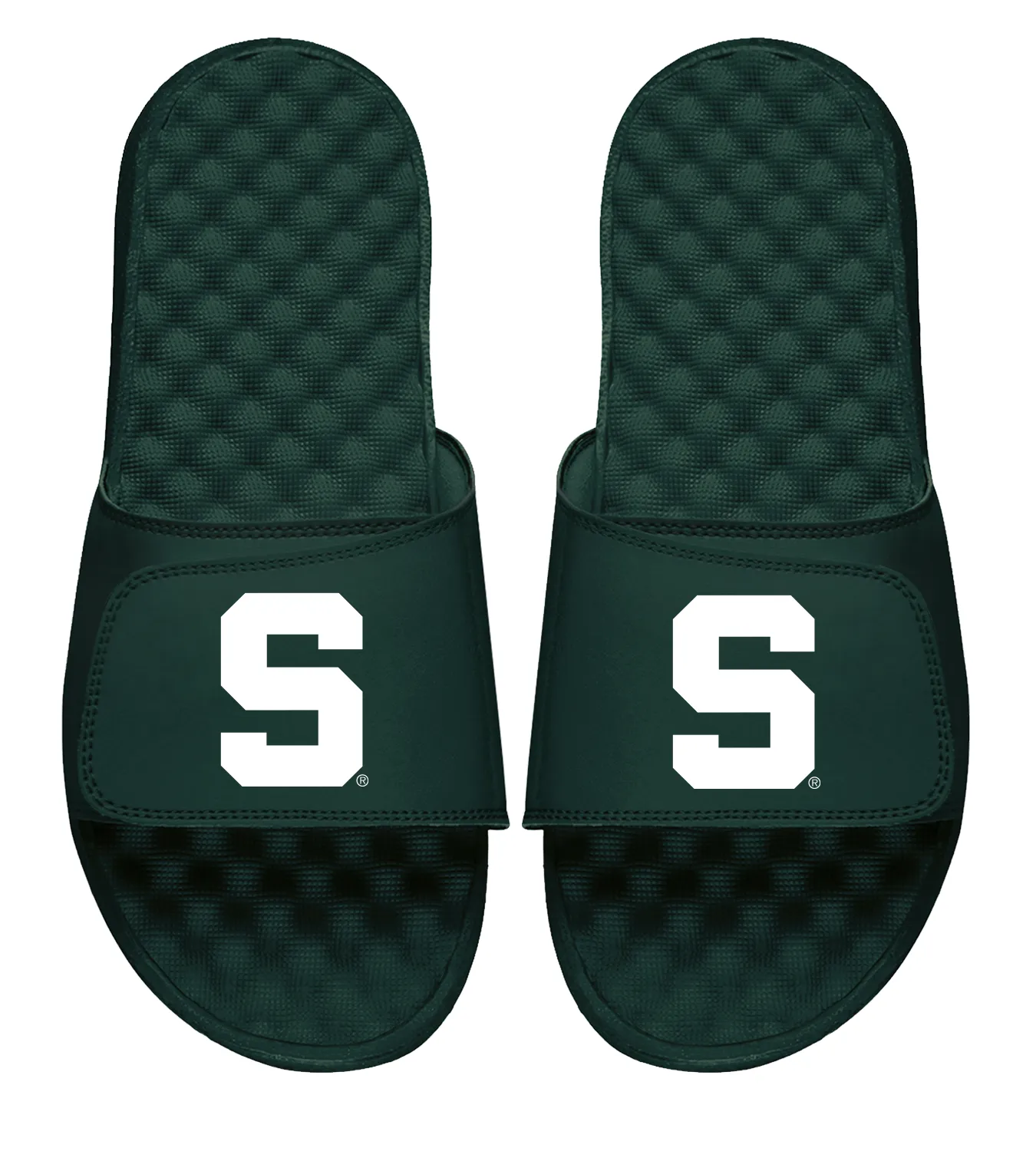 Michigan State Slides