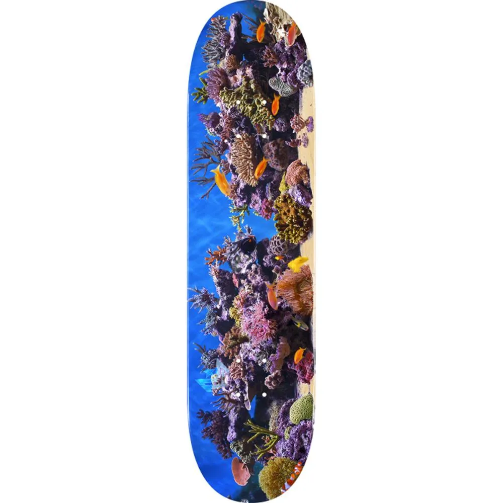 Mini Logo Fish Tank 8.5" Skateboard Deck