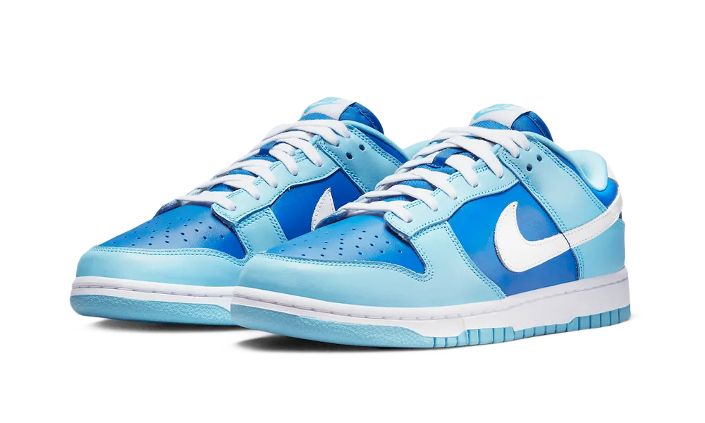 Nike Dunk Low Retro QS Argon