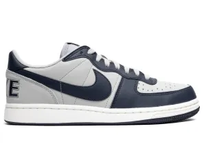 Nike Terminator Low OG 'Georgetown'